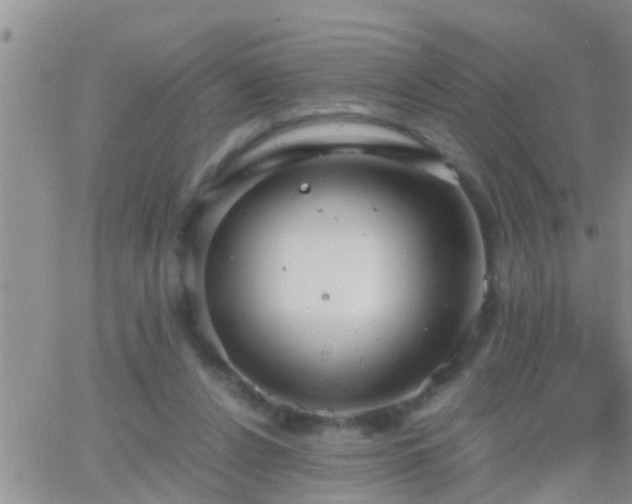 X0000065250256200602242057