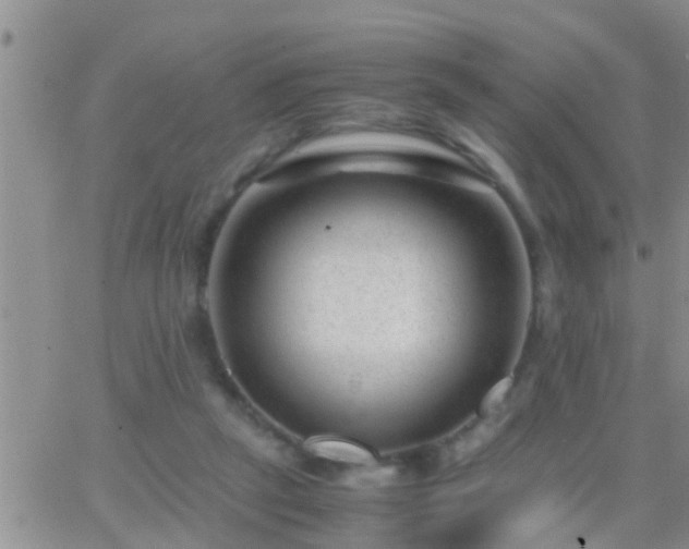 X0000065250257200602242057