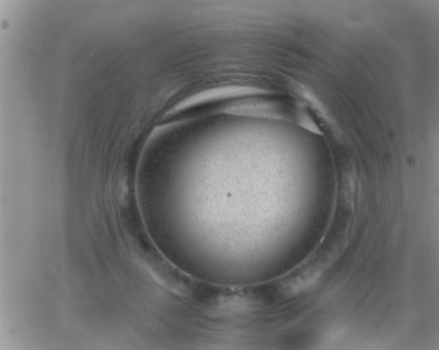 X0000065250259200602242057