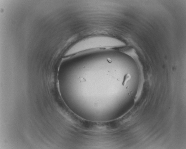 X0000065250260200602242057