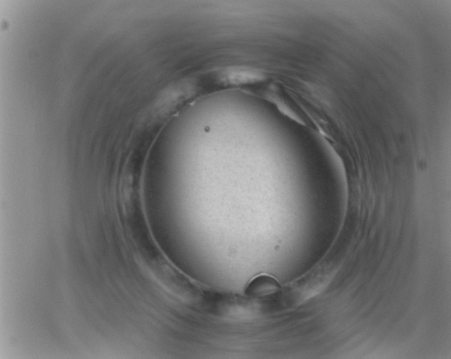 X0000065250263200602242057