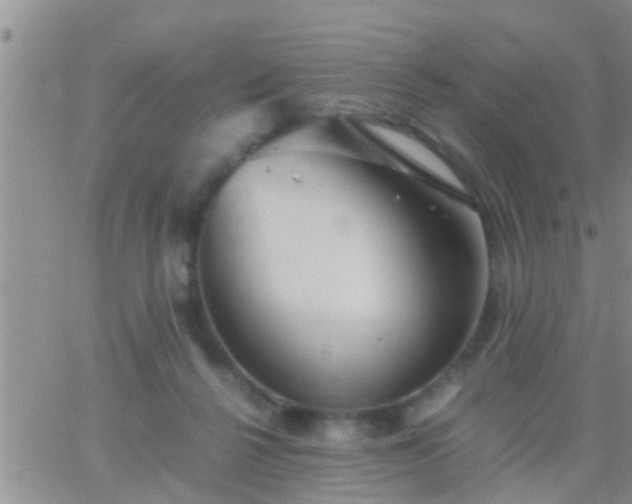 X0000065250264200602242057