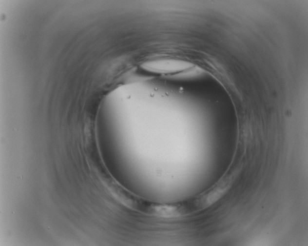 X0000065250265200602242057