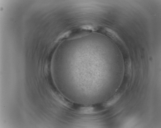 X0000065250266200602242057