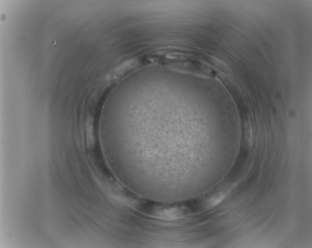 X0000065250267200602242057