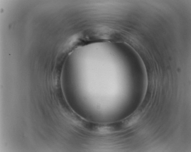 X0000065250268200602242057