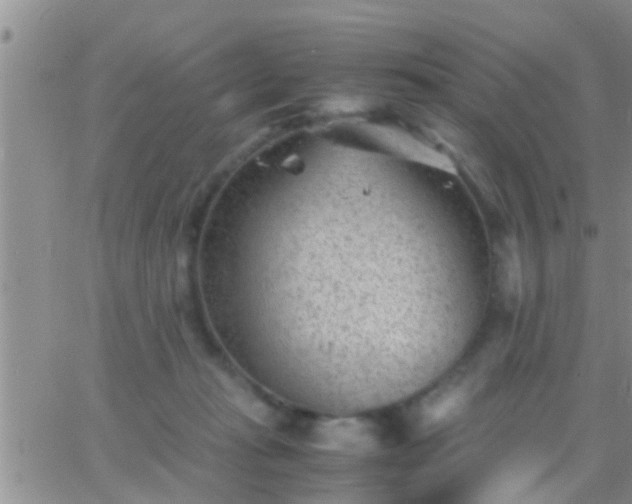 X0000065250269200602242057