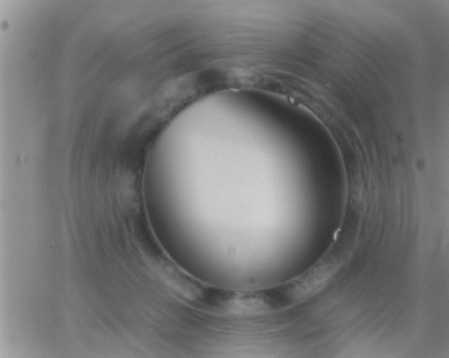 X0000065250270200602242057