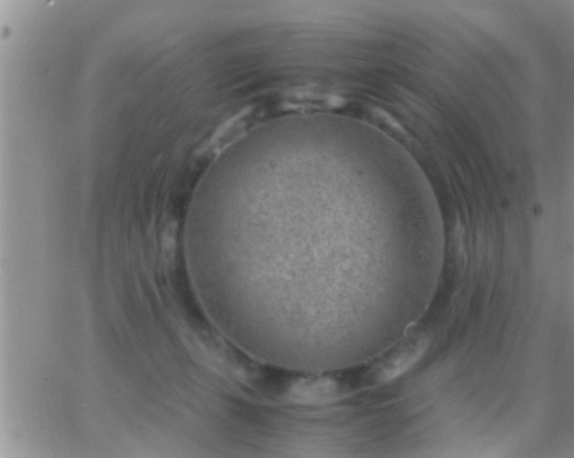 X0000065250271200602242057