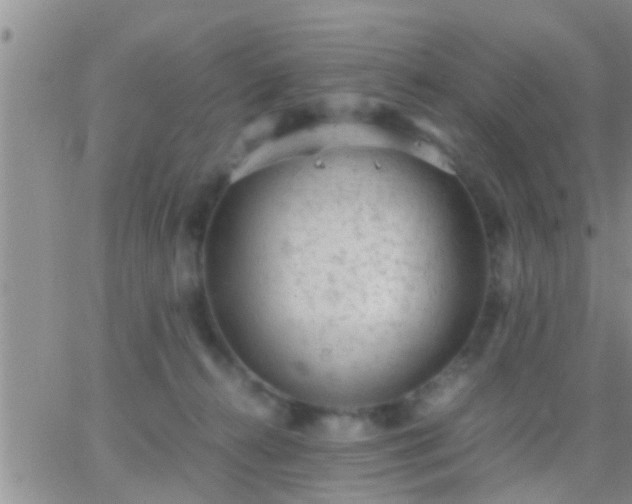 X0000065250272200602242057