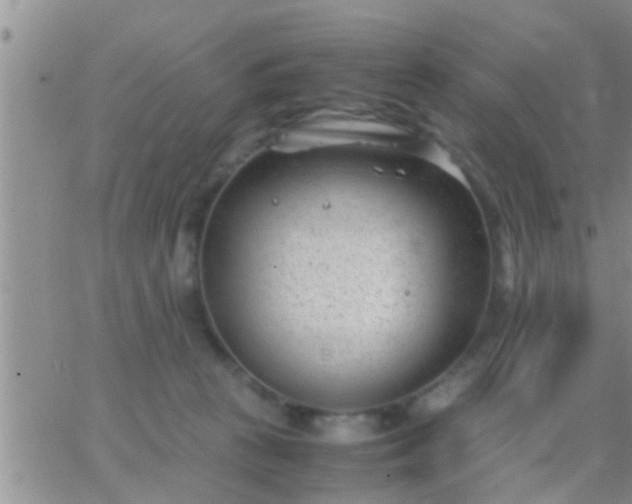 X0000065250273200602242057