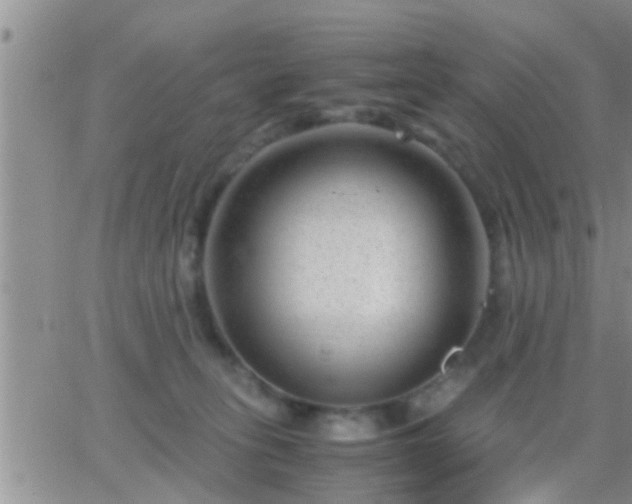 X0000065250275200602242057