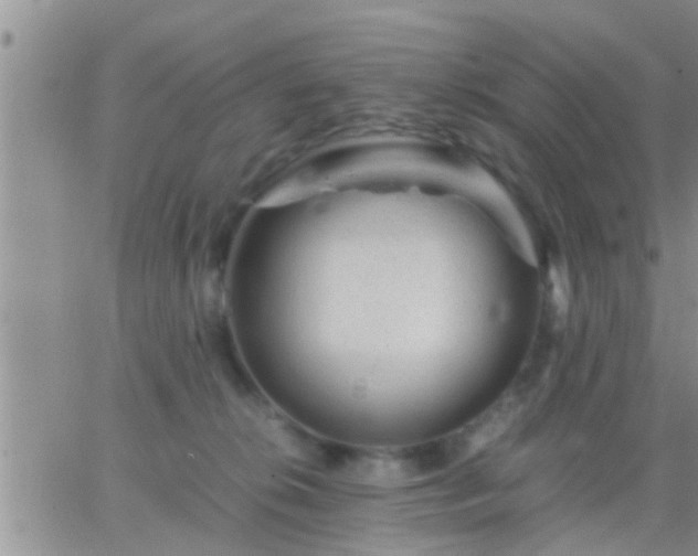 X0000065250276200602242057