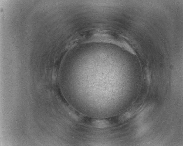 X0000065250277200602242057