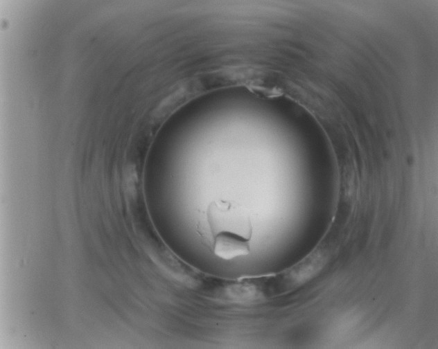 X0000065250279200602242057