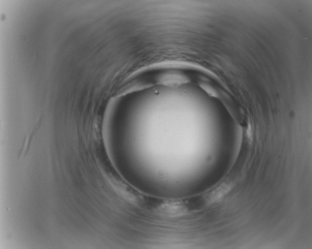 X0000065250280200602242057