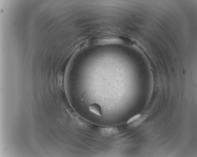 X0000065250281200602242057