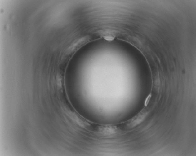 X0000065250282200602242057