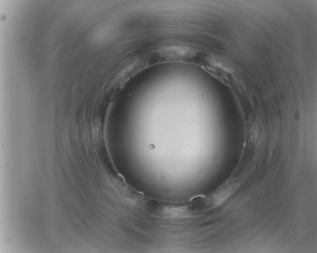 X0000065250283200602242057