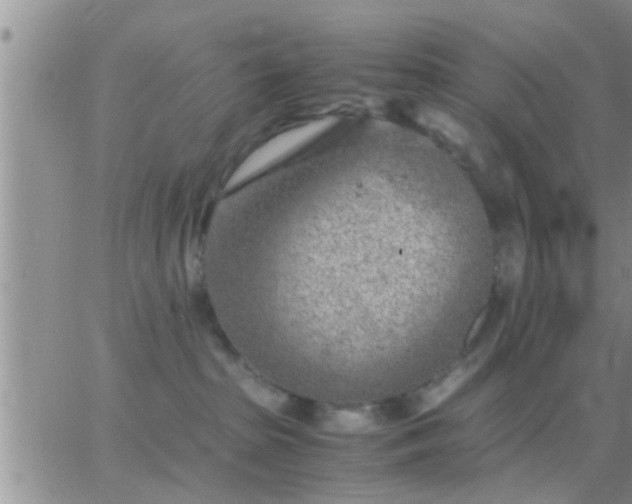 X0000065250285200602242057