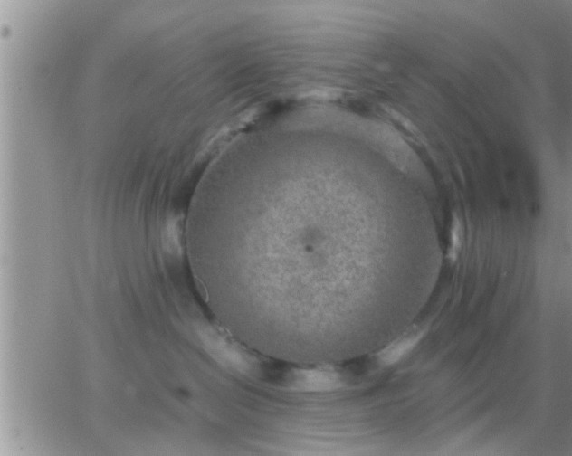 X0000065250286200602242057