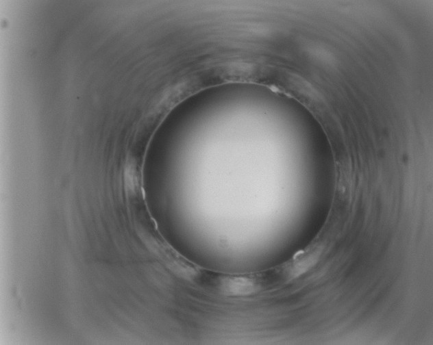 X0000065250287200602242057