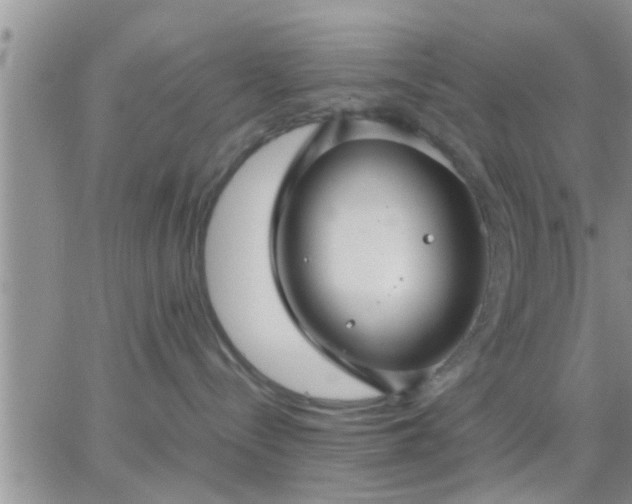 X0000065250288200602242057