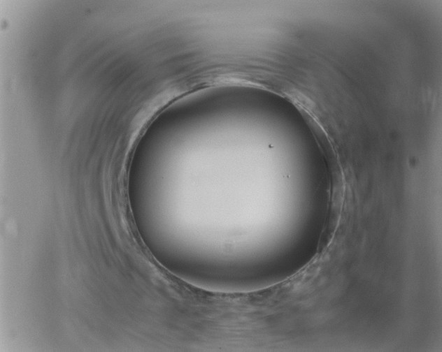 X0000065250289200602242056