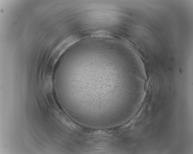 X0000065250290200602242056