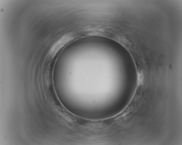 X0000065250291200602242056