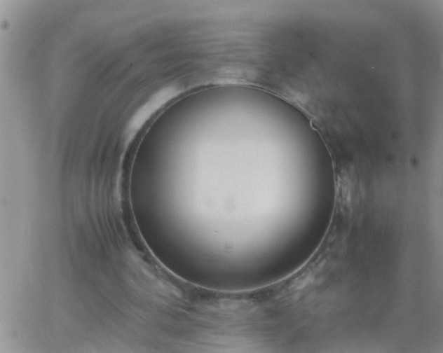 X0000065250292200602242056