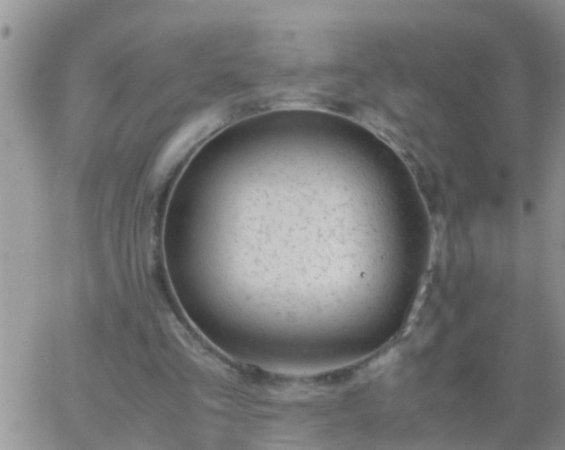 X0000065250293200602242056