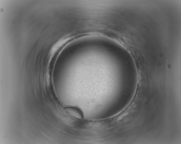 X0000065250294200602242056