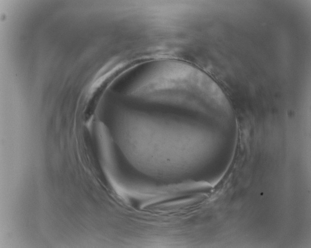 X0000065250295200602242056