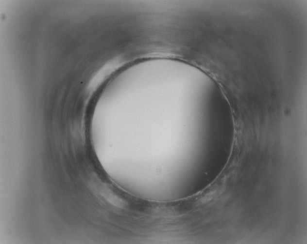 X0000065250296200602242056