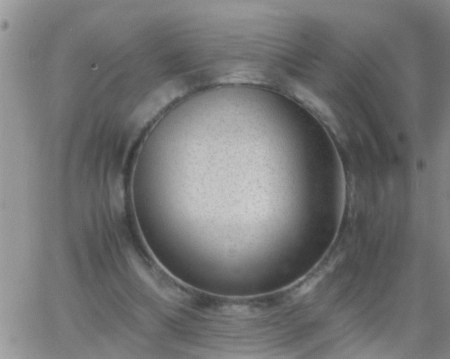 X0000065250298200602242056