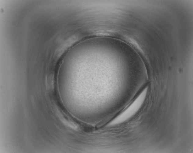 X0000065250299200602242056