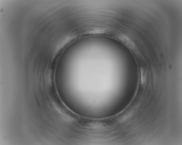 X0000065250300200602242056