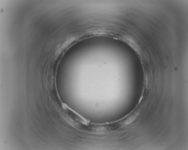 X0000065250301200602242056