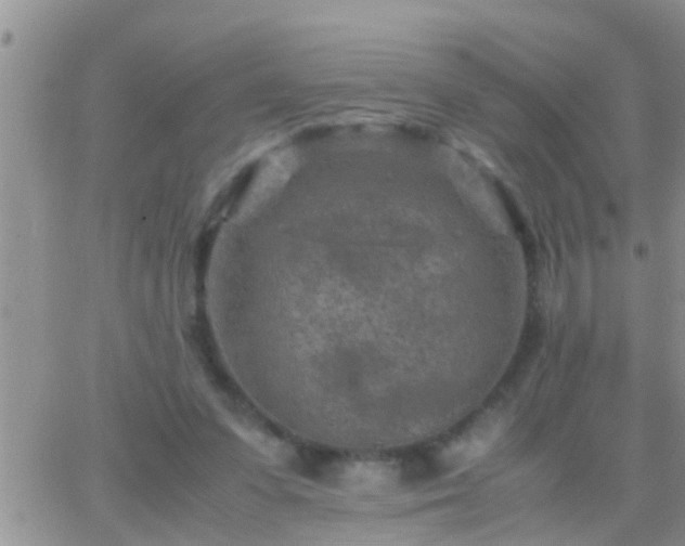 X0000065250303200602242056