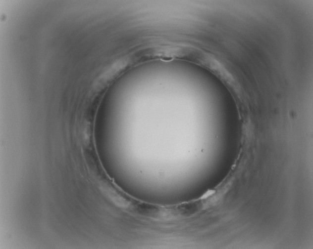 X0000065250305200602242056