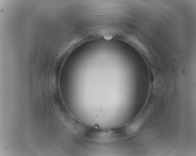 X0000065250306200602242056