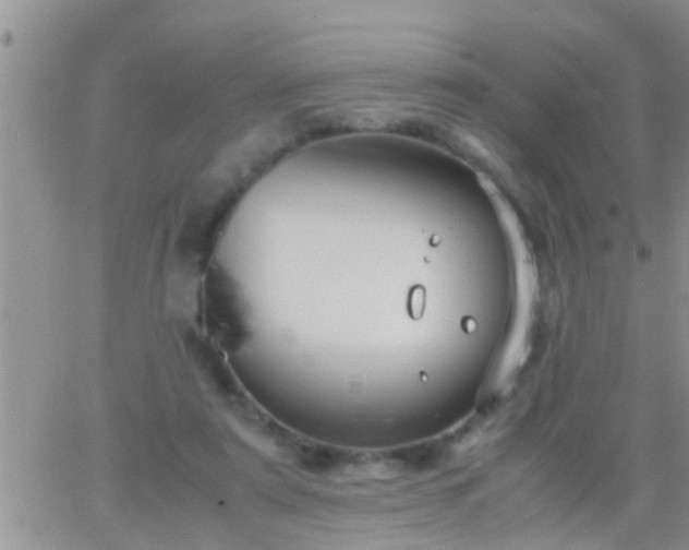 X0000065250307200602242056