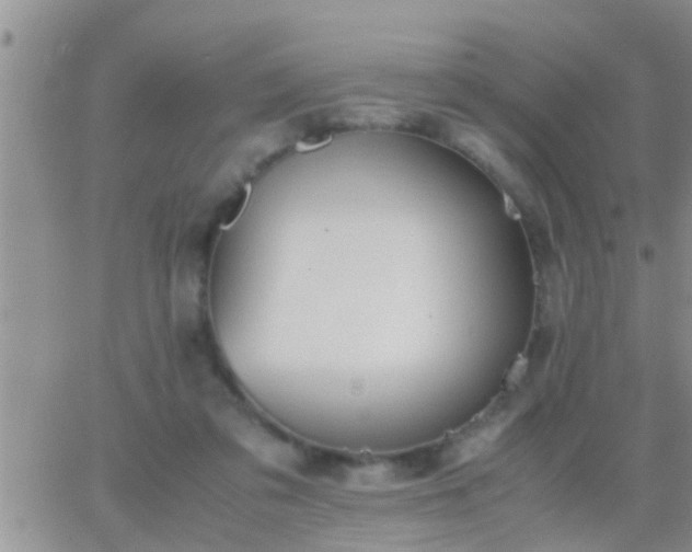 X0000065250309200602242056