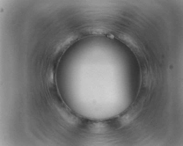 X0000065250310200602242056