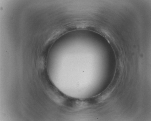 X0000065250311200602242056