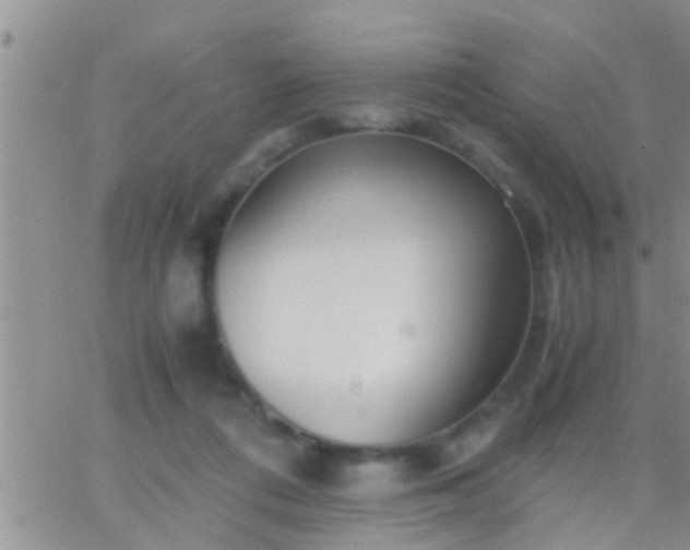 X0000065250312200602242056