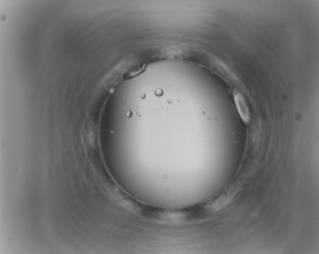 X0000065250313200602242056