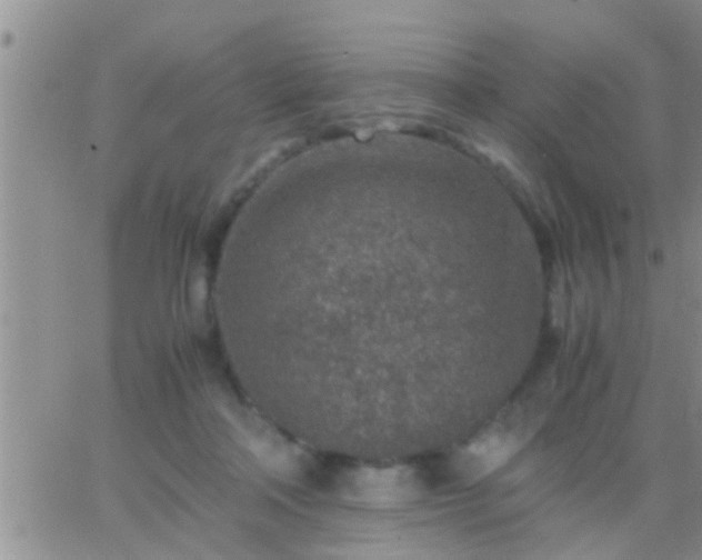 X0000065250314200602242056