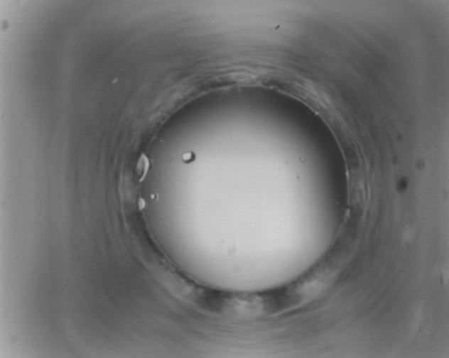 X0000065250317200602242056